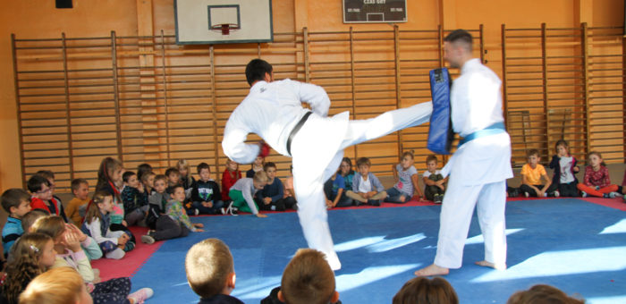 Pokaz karate