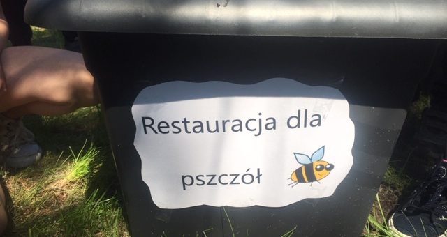 Restauracja dla pszczół i kwiatowe warsztaty :)